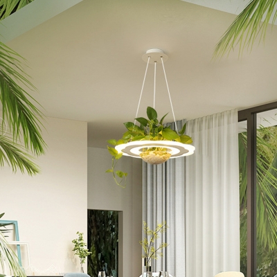 White Disc LED Suspension Light Art Deco Acrylic Pendant Lighting with Glass Plant Bowl