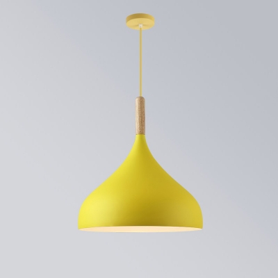 Metal Geometric Shade Pendant Lamp Macaron 1 Head Hanging Light with Wood Decoration
