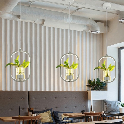 Loop Shaped LED Hanging Lamp Nordic Acrylic Restaurant Drop Pendant with Glass Plant Container