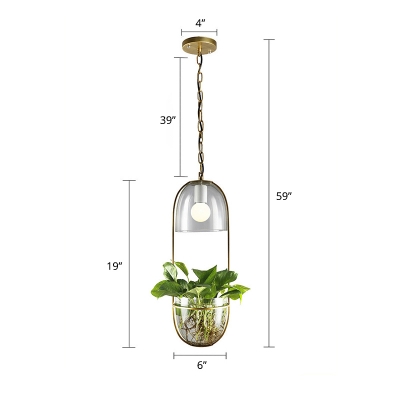 Nordic Oblong Pendant Light 1-Light Clear Glass Suspension Light in Gold with Plant Container
