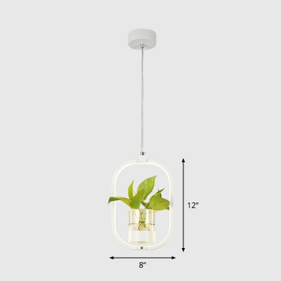 Loop Shaped LED Hanging Lamp Nordic Acrylic Restaurant Drop Pendant with Glass Plant Container