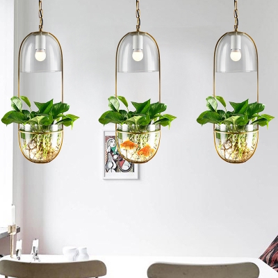 Nordic Oblong Pendant Light 1-Light Clear Glass Suspension Light in Gold with Plant Container