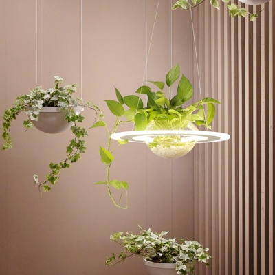 White Disc LED Suspension Light Art Deco Acrylic Pendant Lighting with Glass Plant Bowl