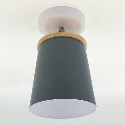 1 Light Modern Semi Flush Mount Metallic Flush Mount Lamp for Baby Nursery Room