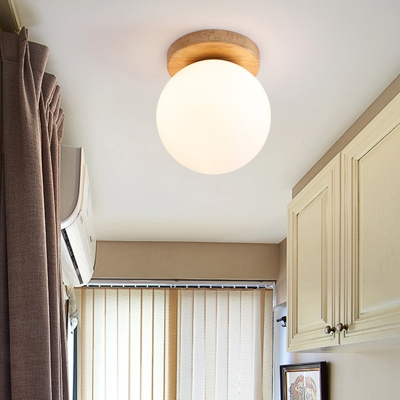 1 Light Modern Ceiling Fixture Glass Globe Shade Flush Mount Ceiling Light for Hallway