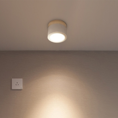 Cylinder Aisle Close to Ceiling Lighting Metallic Nordic Style LED Ceiling Flush Mount Light