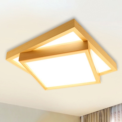 Contemporary Ceiling Light Square Acrylic Shade with 2 LED Light Ceiling Light Fixture for Living Room