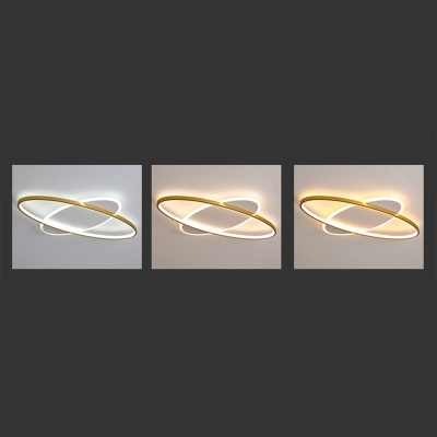 Oval Flushmount Lighting 21.5 Inchs Wide Minimalism Acrylic Led Flush Ceiling Light in Gold