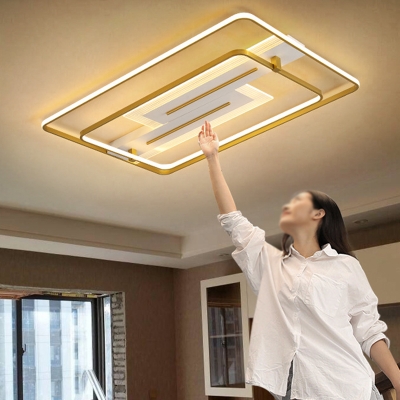 Modern Ceiling Light with LED Light Acrylic Shade Ceiling Light Fixture for Restaurant