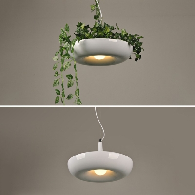 Industrial Style Aluminium Hanging Light with Refreshing Plant Hanging for Restaurant