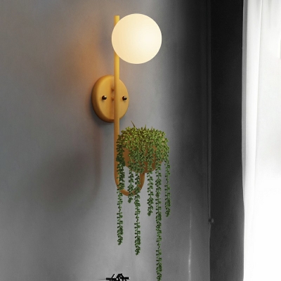 Minimalist Study Room Wall Sconce 1 Bulb 9.5 Inchs Wide Refreshing Macaroon Plant Wall Lighting Ideas