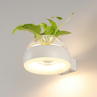 Indoor Green Plant Sconce Light Dome Shape 8 Inchs Wide Nordic Creative Wall Lamp for Bedroom in White Light