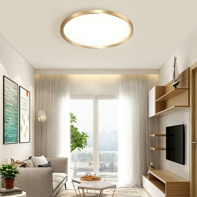 Hoop Shaped Flush Mount Minimalism Aluminum LED Ceiling Light in Gold for Bedroom