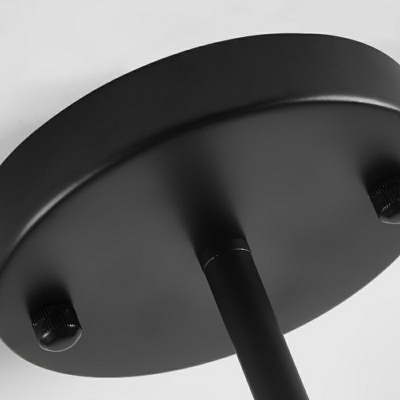 Modernist Style Metal Radial Pendant Light Spherical Glass Chandelier Lighting in Black