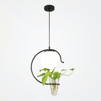 Single-Bulb Globe Glass Shade Hydroponics Plant Drop Hanging Lamp for Restaurant