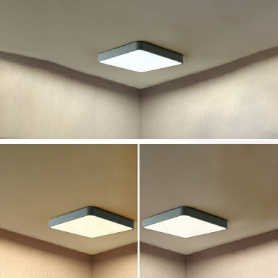 Modernist Acrylic Flush Mount LED 1 Light Circle Ceiling Lighting for Living Room