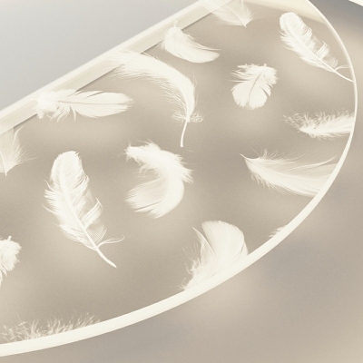 Modern Creative Style Oval Feather LED Ceiling Fixture in Acrylic Indoor Flush Mount in Gold