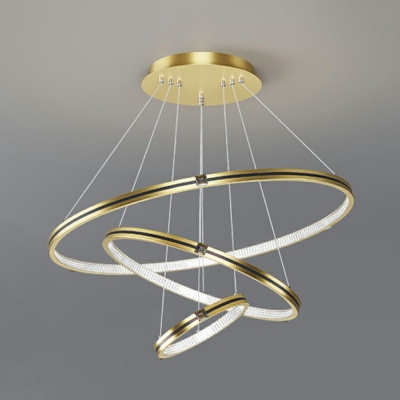 Contemporary Acrylic Orbicular Chandelier Light Living Room Hanging Lamp
