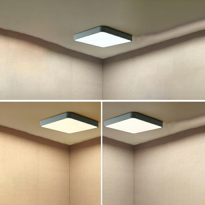 Contemporary Ceiling Light with LED Light Acrylic Shade Flush Mount Ceiling Light for Hallway in 3 Colors Light