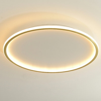 Metallic Circular Flush Lighting Nordic Style LED Flush Mount Suction Lamp 2