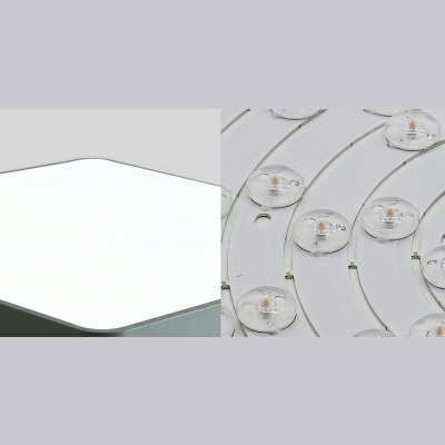 Contemporary Ceiling Light with LED Light 2