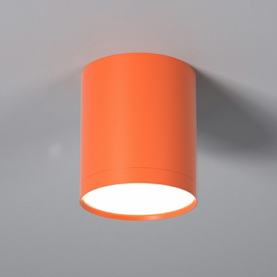 Cylinder Ceiling Light Minimalism Style 3