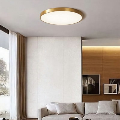 Geometric LED Flush Mount Modernism Metallic Lighting Fixture in 3 Colors Light with Arcylic Shade for Bedroom