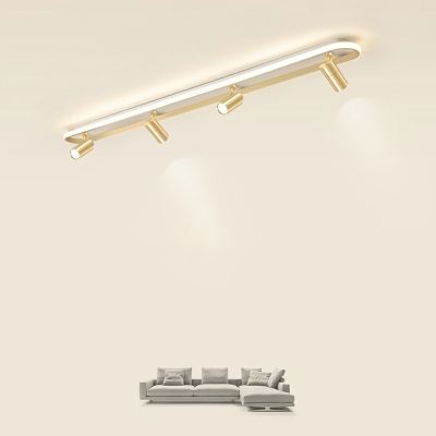 White Light LED Contemporary Ceiling Light Gold Acrylic Shade Flush Mount Ceiling Light with Spotlight