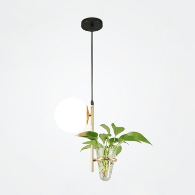 Single-Bulb Globe Glass Shade Hydroponics Plant Drop Hanging Lamp for Restaurant