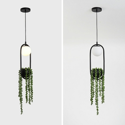 Metal Black Plant Hanging Lamp Ball 1 Blub Vintage LED Suspension Pendant for Restaurant