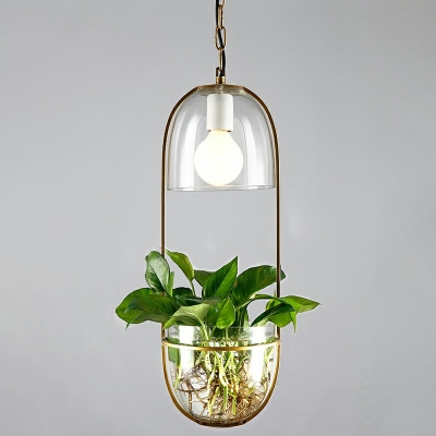 Metal Pendant Lamp Industrial 1 Head Dining Table Suspended Light Fixture in Gold  (Delivery without plants)