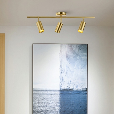 Nordic Style LED Ceiling Track Lighting in Golden Living Room Semi Mount Lighting