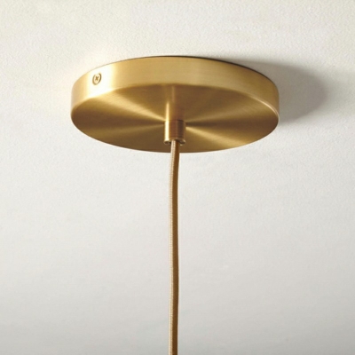 Adjustable Height Clear Glass Hanging Light Globe Shade Pendant Light for Living Room