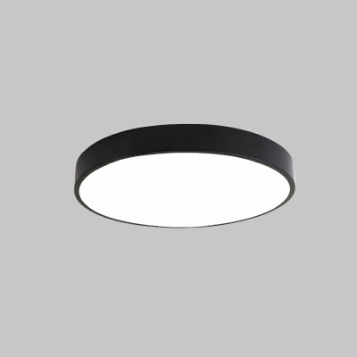 Contemporary Ceiling Light with 2