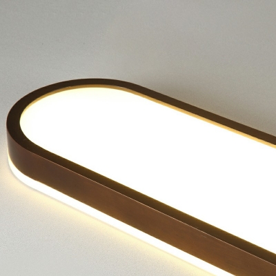 Oval Flushmount Lighting Minimalism Acrylic LED Flush Ceiling Light in Dark Brown