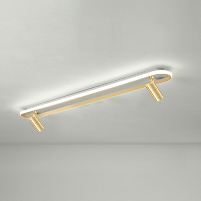 White Light LED Contemporary Ceiling Light Gold Acrylic Shade Flush Mount Ceiling Light with Spotlight