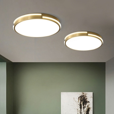 Golden Contemporary Ceiling Light with LED Light 2