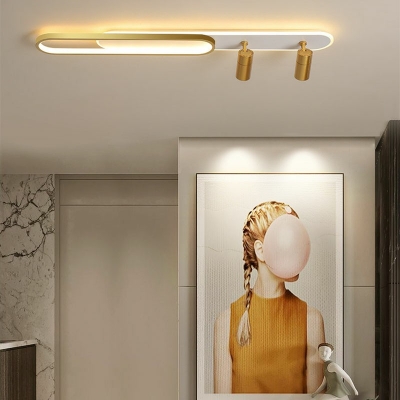 Flush Mount Lamp 4 Lights Creative Dimmable Metal and Acrylic Shade Indoor Ceiling Light
