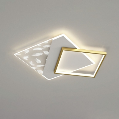 Simplicity Ceiling Light LED Light in White Light Acrylic Clear Shade Ceiling Light Fixture