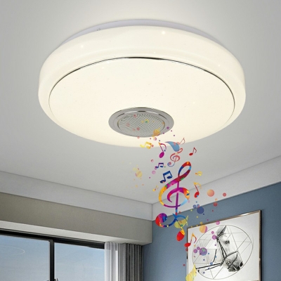 Ceiling Flush Mount Dimmable Modern Iron and Acrylic Shade LED Light for Bedroom, 13