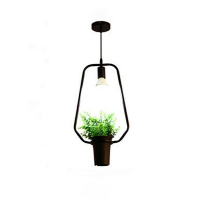 Industrial Geometric Shaped Pendant Light Metal 1 Light Plants Decorative Hanging Lamp for Coffee Shop and Restaurant
