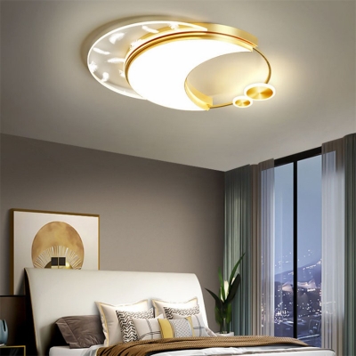 White Light Thin Oval Flushmount Modernism Acrylic LED Ceiling Lamp with Feather Pattern