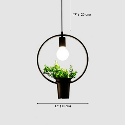 Industrial Circle Shaped Pendant Light Metal 1 Light Plants Decorative Hanging Lamp for Coffee Shop and Restaurant
