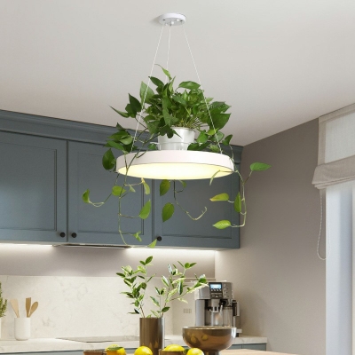Industrial Style Circle Pendant Light Acrylic 1 Light Plants Decorative Hanging Lamp, without Plants