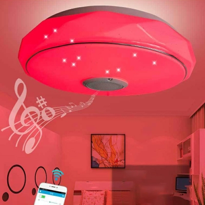 Ceiling Mounted Light 16