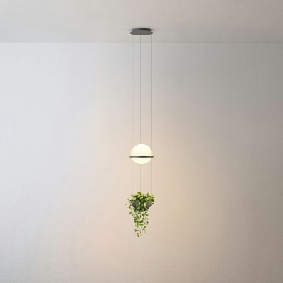 Industrial Circle Shade Pendant Light Metal 1 Light Plants Decorative Hanging Lamp for Coffee Shop and Restaurant, without Plants