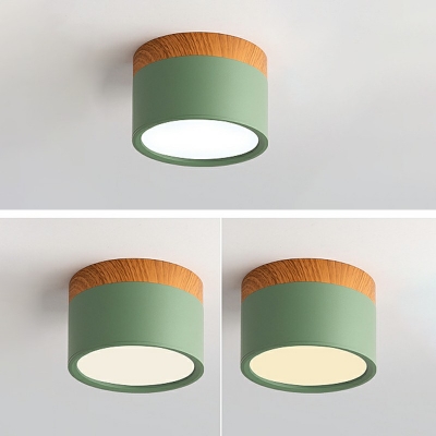 Northern Europe Style Macaron Ceiling Light Sweet and Warm Decorative Led Lights