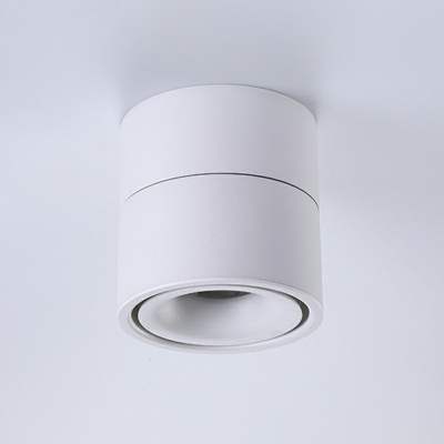 Adjustable Ceiling Flush Mount Column Modern Metal Shade LED Light for Corridor, 4