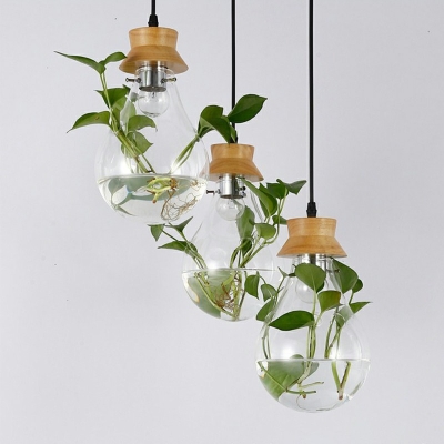 Industrial Bottle Shade Pendant Light Glass 1 Light Plants Decorative Hanging Lamp for Coffee Shop and Restaurant, without Plants