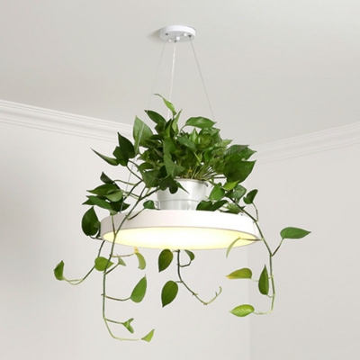 Industrial Style Circle Pendant Light Acrylic 1 Light Plants Decorative Hanging Lamp, without Plants